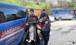 Eşini av tüfeğiyle öld*ren kadın adliyeye sevk edildi...