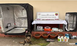 Eş zamanlı U*uşturucuoperasyonu...