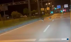 Hastane kavşağındaki karacalar kameraya yansıdı...