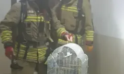 Apartta yangın… Öğrenci ve Muhabbet kuşu kurtarıldı…