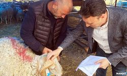 Pazar denetlendi, kurban yakalama timi kuruldu…