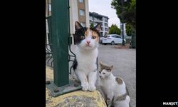 Balık ağı ile alıp!... Yeni anne oldu… İşte o paylaşım…