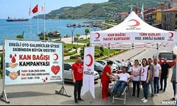 Galericiler sitesinden kampanyaya davet…