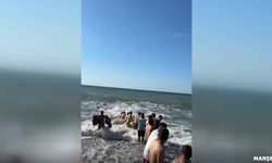 Denizde can pazarı... Vali Kaptan fark etmeseydi!...
