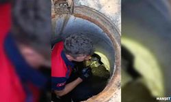 Rögara düşen kedi itfaiye ekibi tarafından kurtarıldı