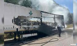 TIR’ın dorsesinde çıktı… Ağaçlara sıçradı…