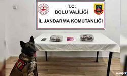 Yolcu otobüsünde u*uşturucu madde operasyonu…