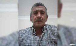 Ağaç dalının çarptığı orman işçisi öldü…