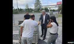 Gülüç Sahili Baştan Aşağı Yenileniyor