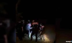 Terk edildi Irmağa atladı… Ekipler kurtardı…