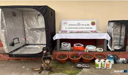 Eş zamanlı U*uşturucuoperasyonu...