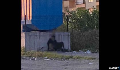 Köpeğe c*nsel istismar... Gözaltı var...