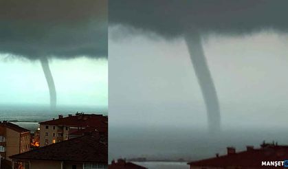 Aniden ortaya çıktı.. Paniğe sebep oldu...