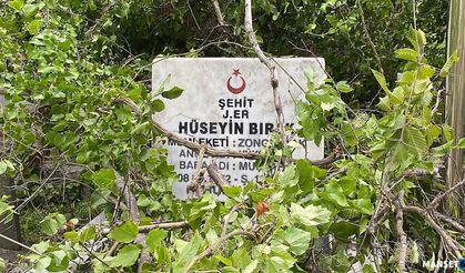 Mezarlarımızı bulamıyoruz… Ölüsüne saygısı olmayan!...