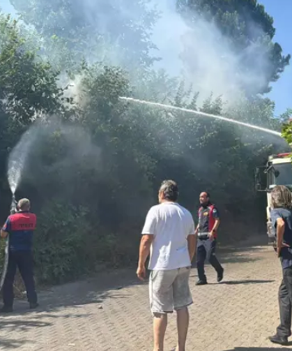 Ağaçlık alanda yangın... Ekipler müdahale etti...