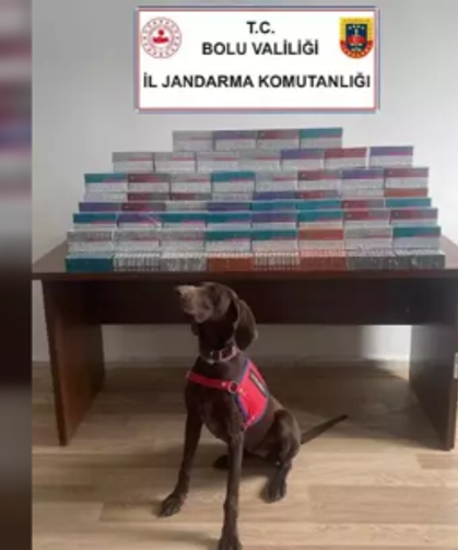 Yurda sokulan binlerce elektronik sigara kiti ele geçirildi