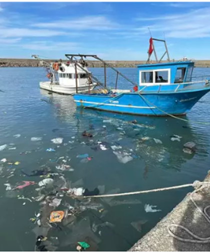 'Zonguldak'ta balık sezonu kötü geçiyor'...