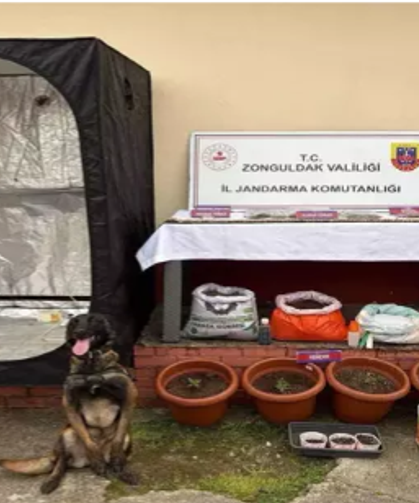 Eş zamanlı U*uşturucuoperasyonu...