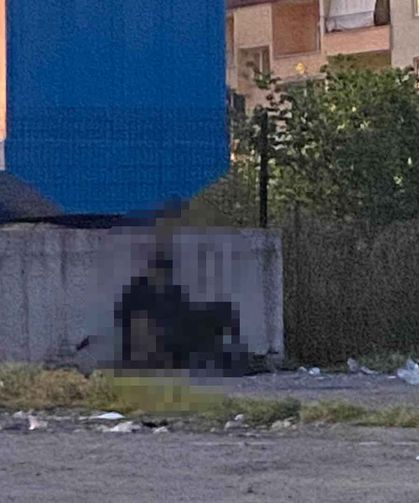Köpeğe c*nsel istismar... Gözaltı var...