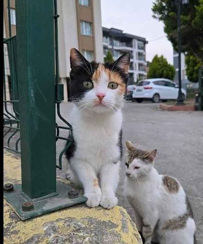 Balık ağı ile alıp!... Yeni anne oldu… İşte o paylaşım…
