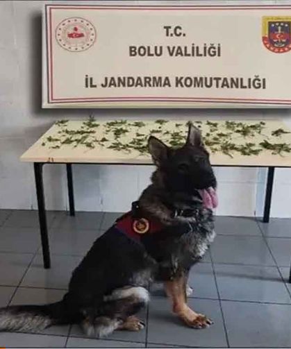 K*nevir operasyonu: 3 tutuklama...