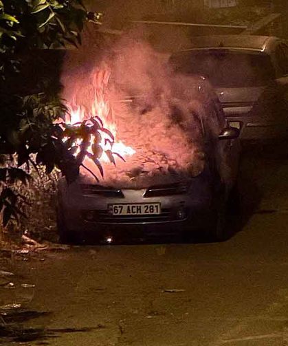 Park halinde alevlere teslim oldu…
