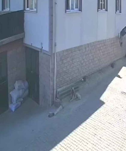 2’nci kattan düştü… Yaşama tutunamadı…