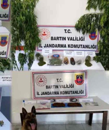 U*uşturucu operasyonu: 16 gözaltı