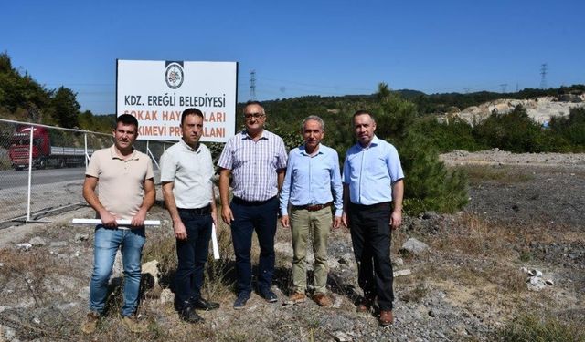 Kdz. Ereğli Belediyesi hayvan hastanesi kuruyor