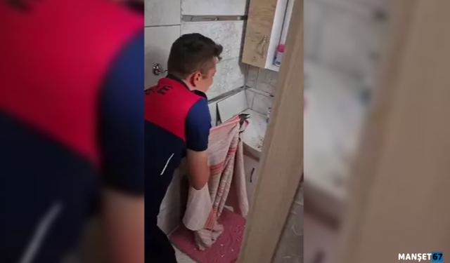 Banyoda mahsur kalan karga kurtarıldı...