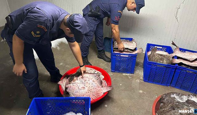 Yasa dışı avcılığa baskın… 114 balığa el konuldu…
