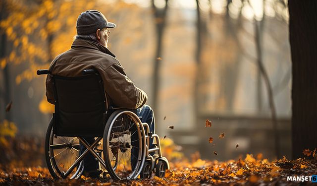 Tekerlekli sandalye modelleri ve özellikleri