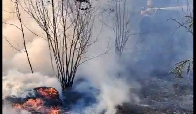 Boş alanda çıkan yangın tarlaya sıçradı...