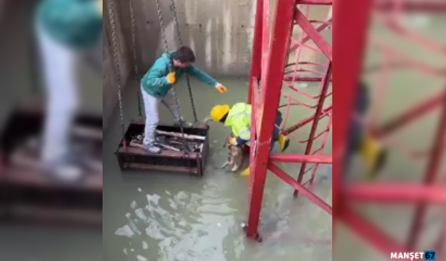 İnşaat alanında su dolu çukura düştü...