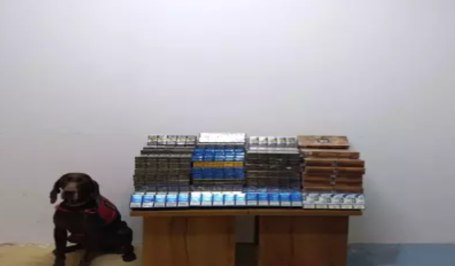 Yolcu otobüsünde bagajından bakın neler çıktı...