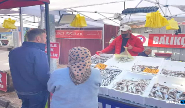 Hamsinin fiyatı gelen balık miktarına göre değişiyor...