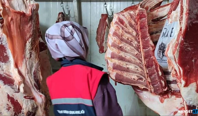 Rekor denetim... 106 işletme incelendi...