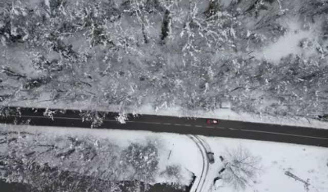 'Ağaç tünel yol'da, kar yağışı sonrası ortaya çıkan manzara