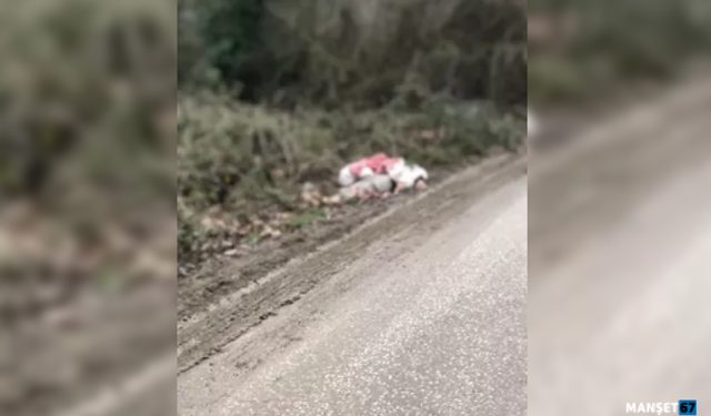 TIR ile gelen göçmenler yakalandı... 1 kişi ölü bulundu...