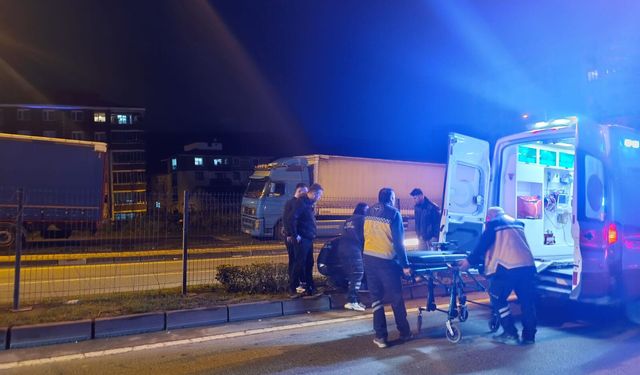 Yaya geçidinde çarptı... 2 yaralı...