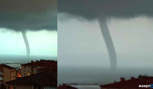 Aniden ortaya çıktı.. Paniğe sebep oldu...