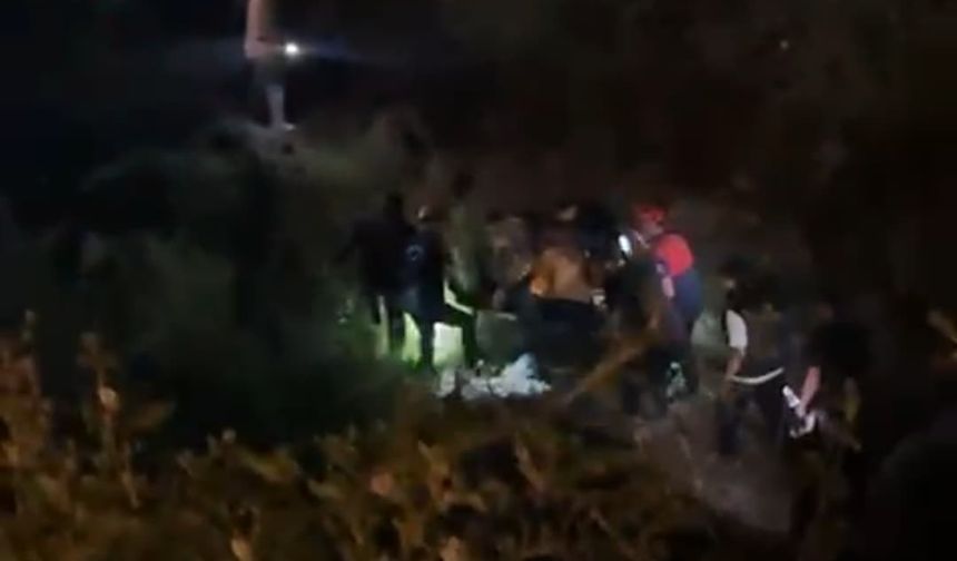 Alkolü aldı, ormanlık alana yuvarlandı...