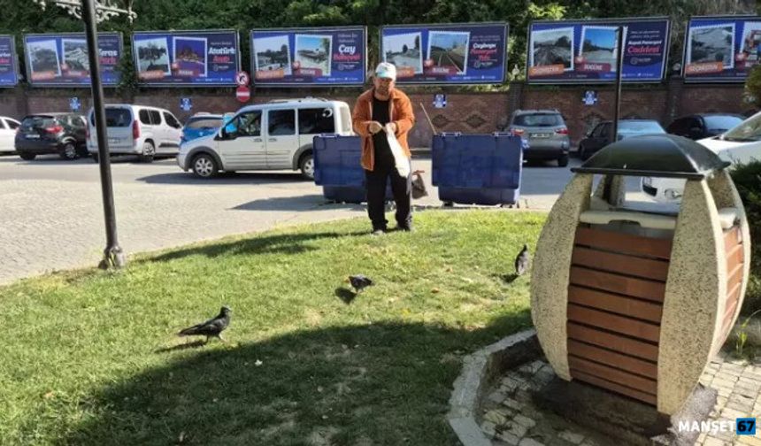 Temizlik işçisi 15 yıldır onları besliyor...