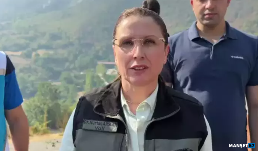 Çıkan orman yangını ile ilgili açıklama geldi...