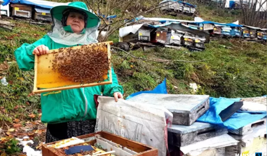 Ömrünü kardeşlerine adadı; arıcılık yapıp hepsini okuttu