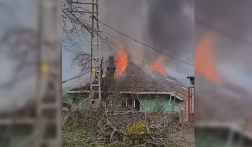 Tek katlı ev yangında küle döndü...