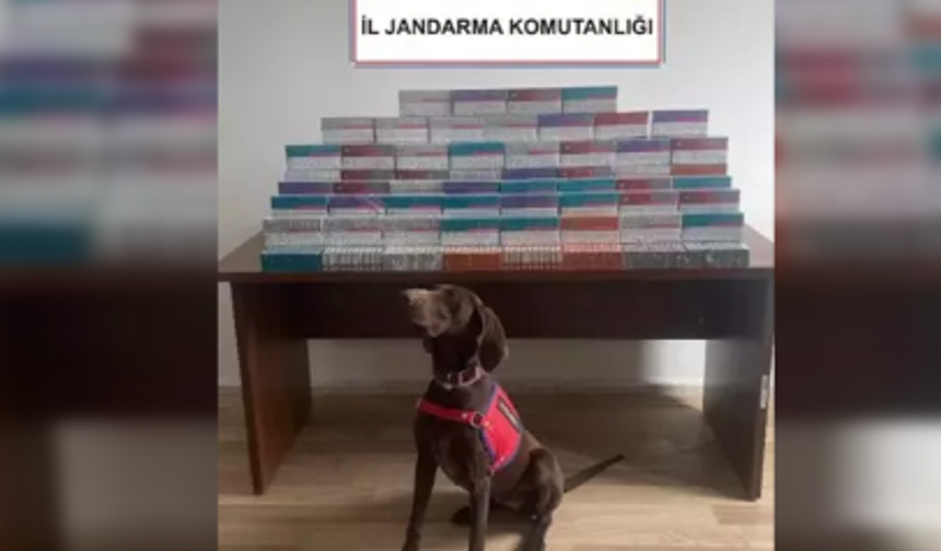 Yurda sokulan binlerce elektronik sigara kiti ele geçirildi