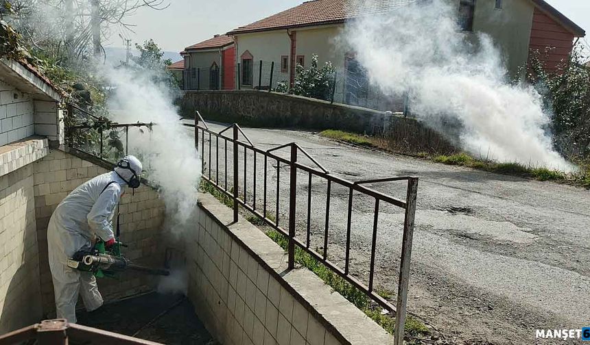 Zararlılarla kaynağında mücadele ediliyor