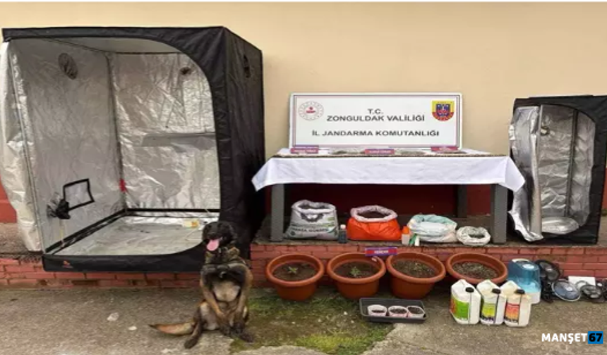 Eş zamanlı U*uşturucuoperasyonu...