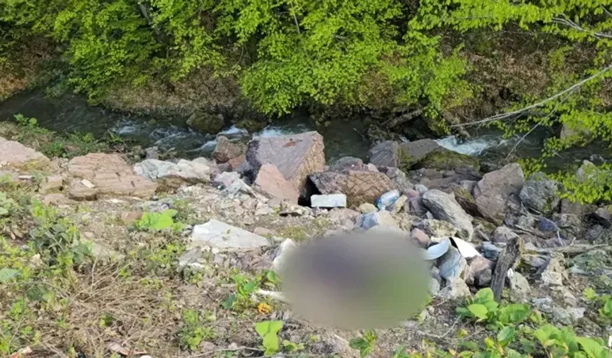 Jandarma ekipleri ci*ayeti bakın nasıl çözdüler?